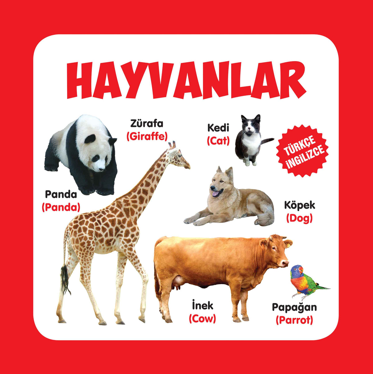Tiere (Türkisch-Englisch)