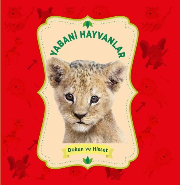 Heywanên Kovî - Destdan û Hîskirin
