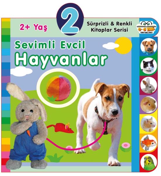 Heywanên Xweşik (Temen 2+)