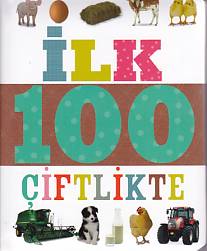100 Çandinîyên Herî Baş (Kapîteya Dagirtinê ya Biçûk)