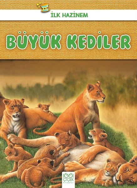 Xezîneya Min a Yekem - Pisîkên Mezin