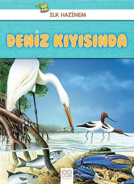 Xezîneya Min a Yekem - Li Ber Deryayê