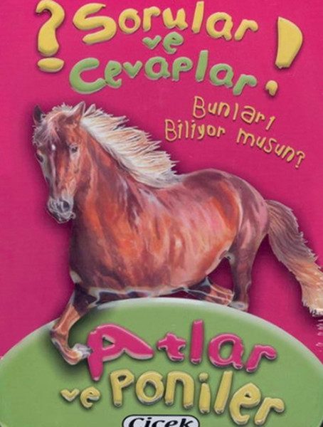 Fragen und Antworten Karten Pferde und Ponys