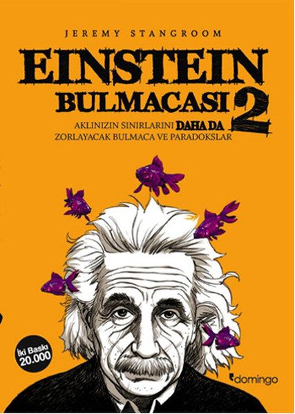Puzzleya Einstein 2: Puzzle û Paradoksên ku Sînorên Hişê We Berdewam Dikin