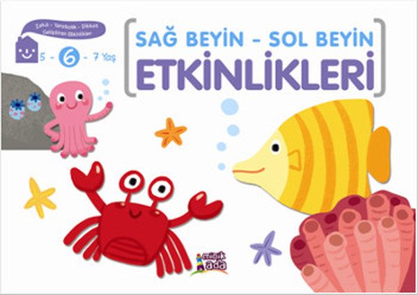 Çalakiyên Mejiyê Rastê - Mejiyê Çepê (Temen 6 salî)