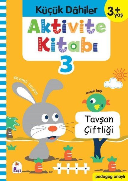 Little Geniuses Aktivitätsbuch 3 (ab 3 Jahren)