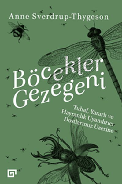 Planet der Insekten – Über unsere seltsamen, nützlichen und faszinierenden Freunde