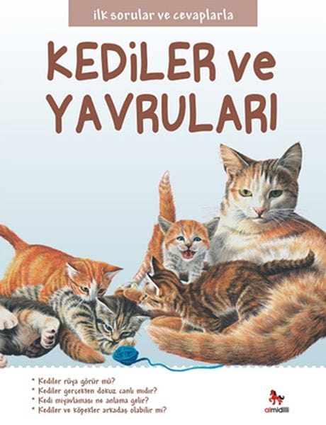 Erste Fragen und Antworten – Katzen und Kätzchen