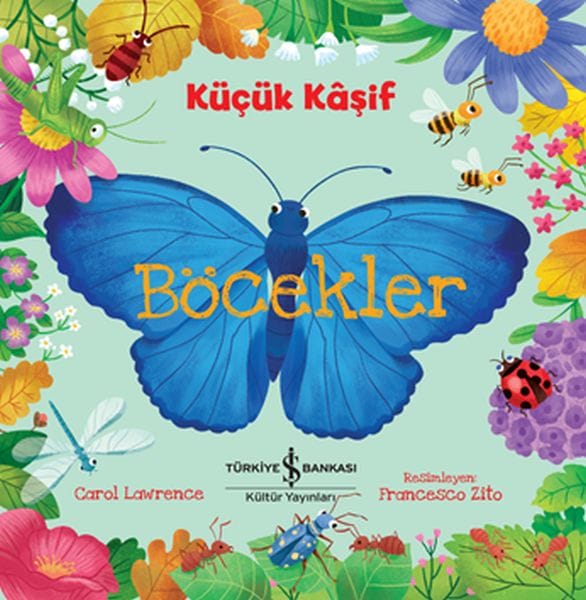 Kleiner Entdecker – Insekten