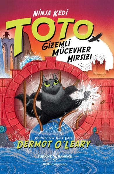 Ninja Cat Toto - Dizê Cewerên Nehênî